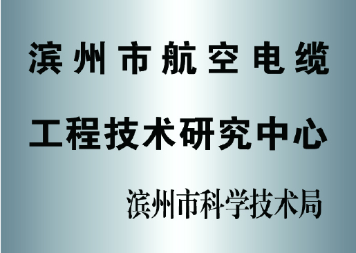 滨州市航空电缆工程技术研究中心