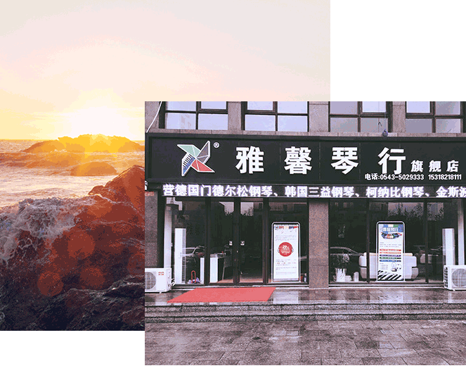 公司介绍