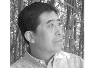 陈文彬