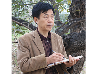 吴山石