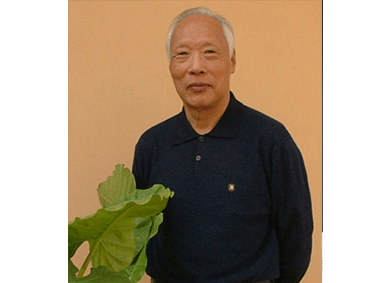 蒋开征